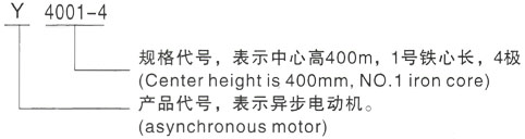 西安泰富西玛Y系列(H355-1000)高压YKK5602-8/710KW三相异步电机型号说明