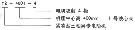 YR系列(H355-1000)高压YKK5602-8/710KW三相异步电机西安西玛电机型号说明